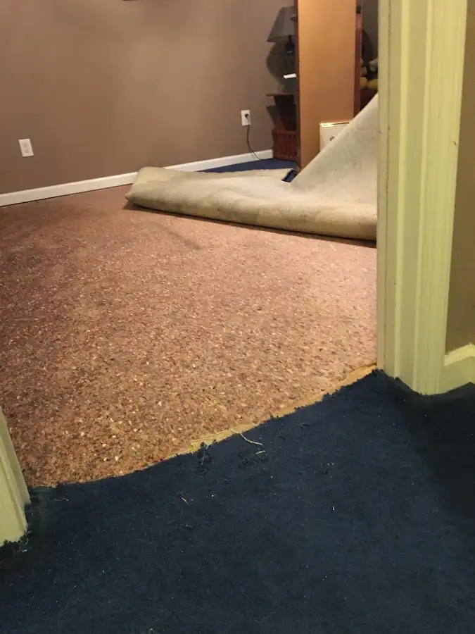 Carpet pad removal revealing water damage during Drying & Dehumidification in Colts Neck
